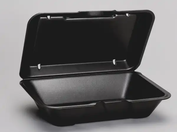 Take-Out Container Hinged with Dome Lid Large (LG)