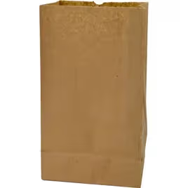 Paper Kraft Bag