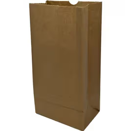 Kraft Paper Bag